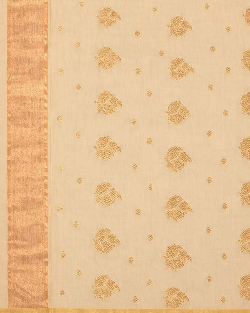 Reti Chanderi Silk & Cotton Saree with Meena Butis — actual fabric