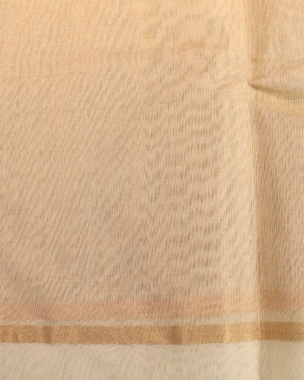 Reti Chanderi Tissue Saree — actual fabric