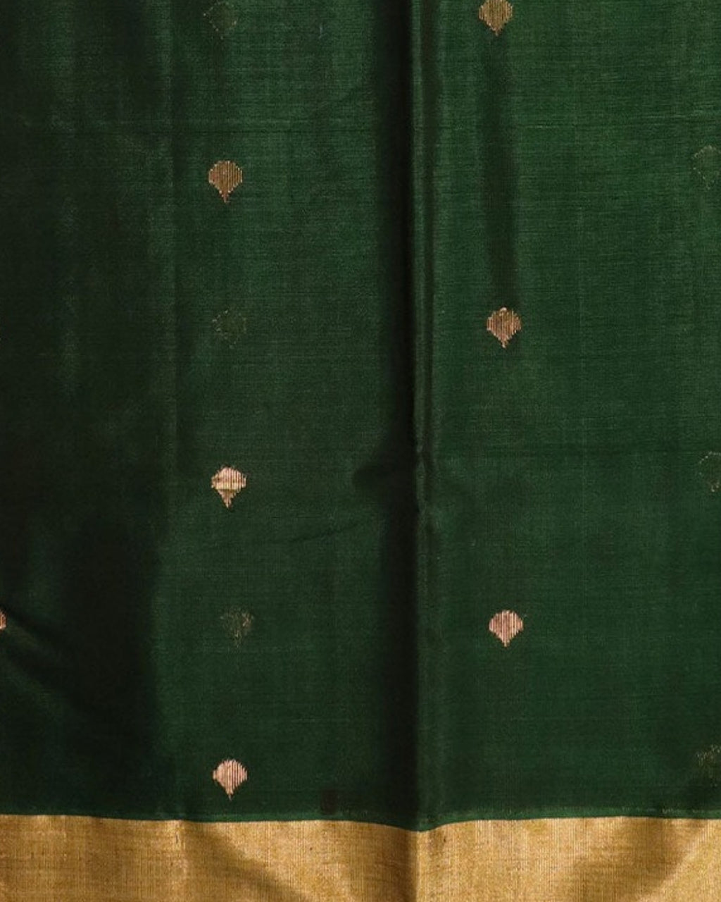 Dhani Chanderi Silk & Cotton Saree with Meena Butis — actual fabric