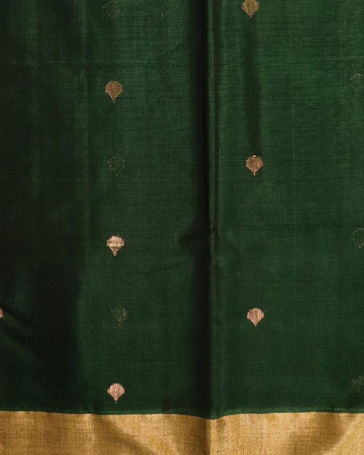 Dhani Chanderi Silk & Cotton Saree with Meena Butis — actual fabric
