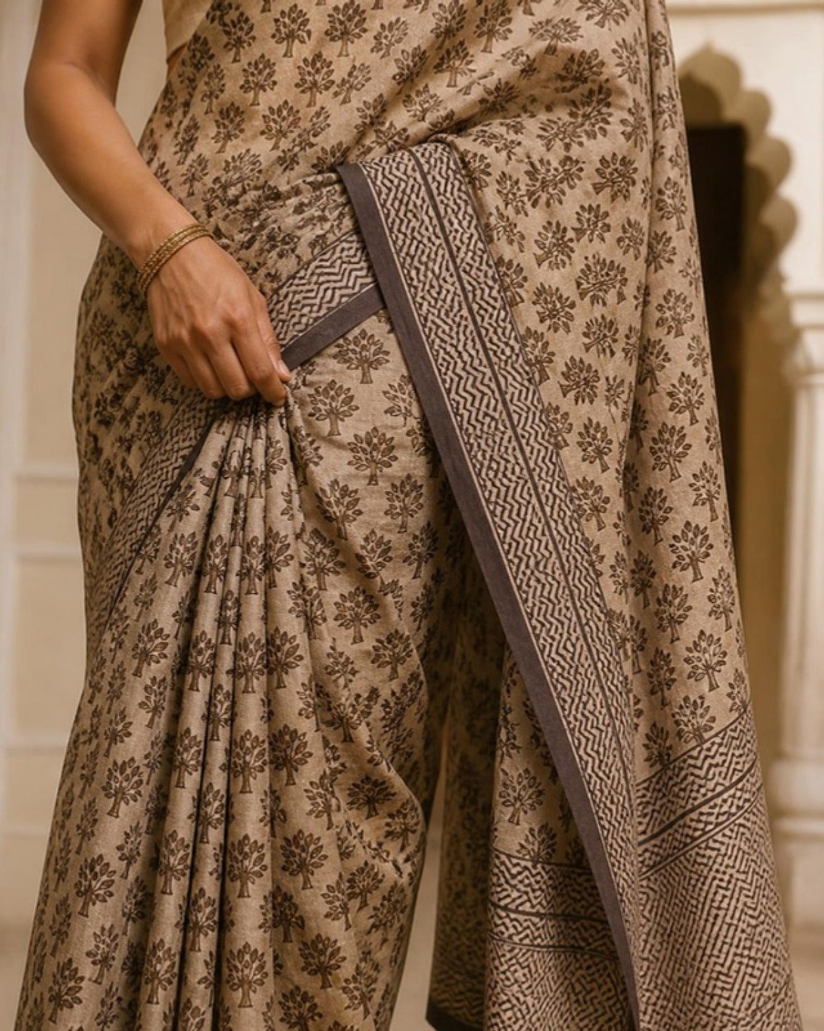 Styled image: Shyam Bagh Print Cotton Saree, border and pleats