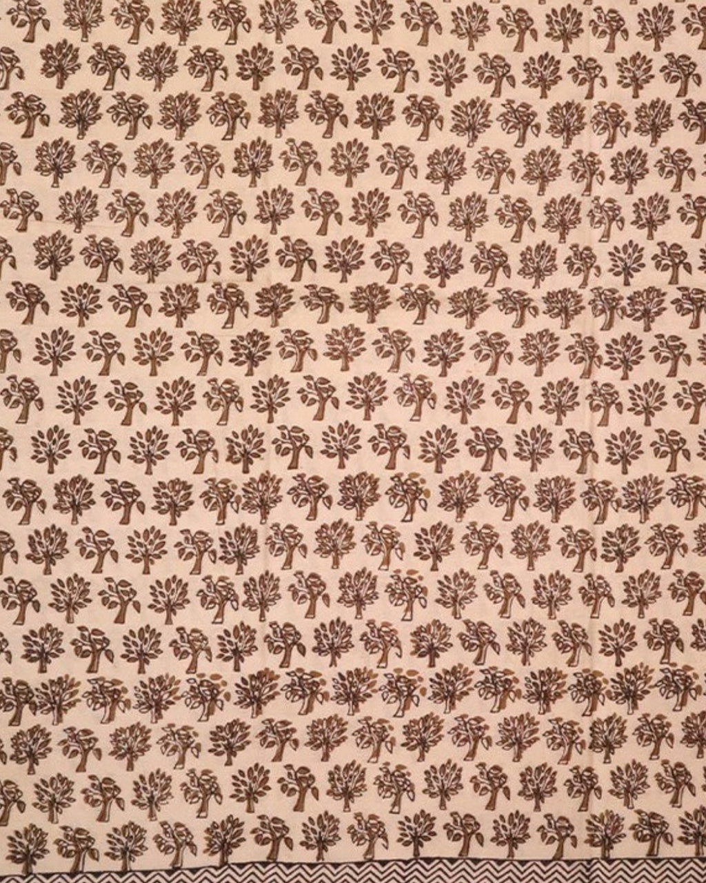 Shyam Bagh Print Cotton Saree — actual fabric