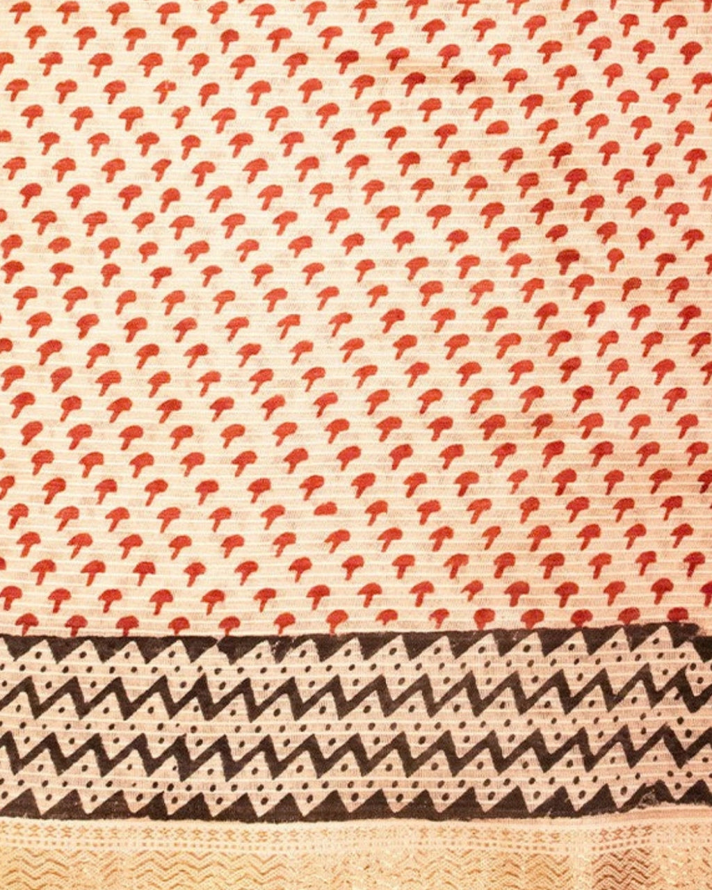 Sindoori Bagh Print Cotton Saree — actual fabric