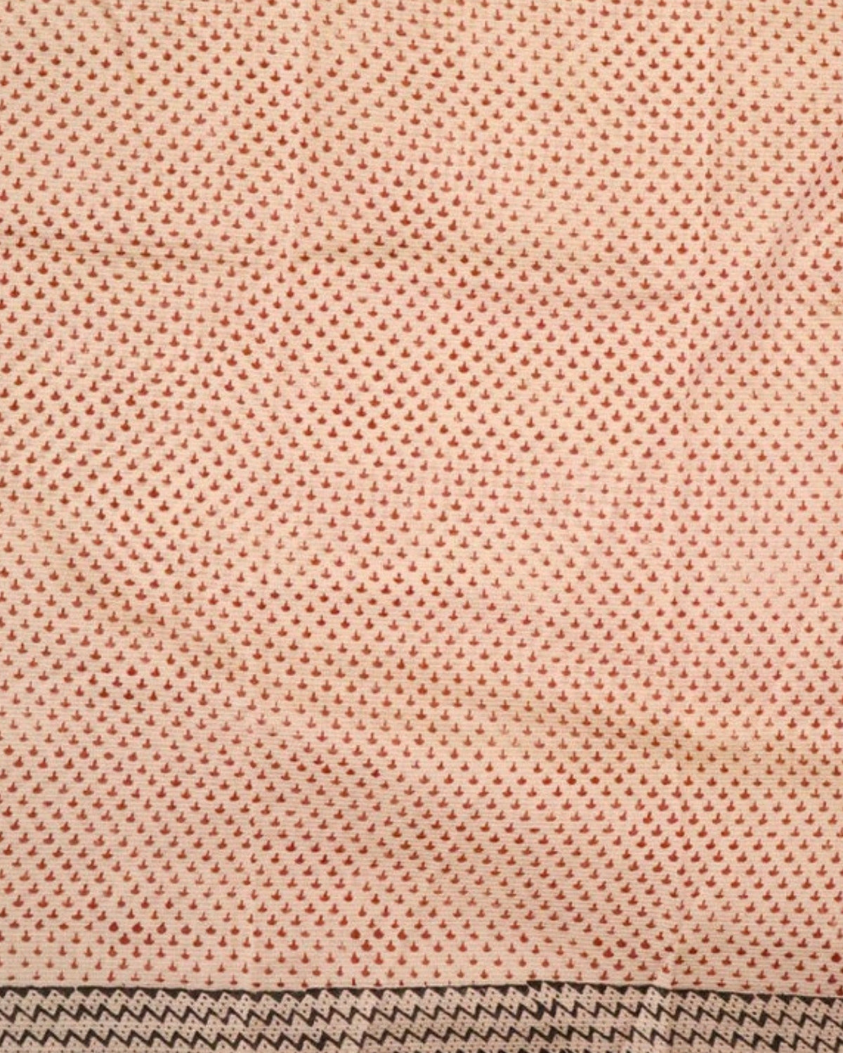 Shyam Bagh Print Silk & Cotton Saree — actual fabric