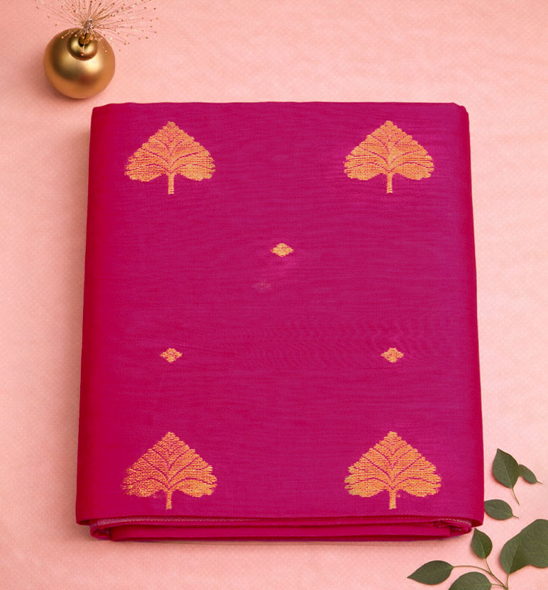 Handloom Chanderi Silk Cotton Saree